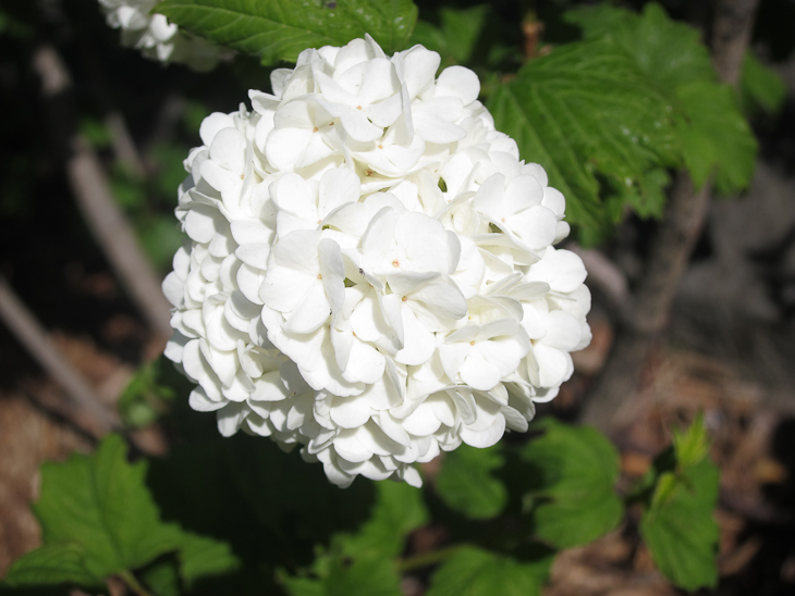 Pause de midi au jardin. 